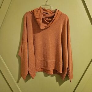 Cozy Rust Hooded Sweater